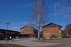 Västerbottens museum-2014-03-29.jpg