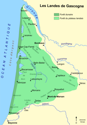 Image illustrative de l’article Landes de Gascogne