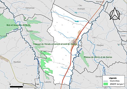 Carte de la ZNIEFF de type 1 sur la commune.