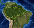 Miniatura Amazonia