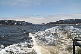 Parc marin du Saguenay–Saint-Laurent