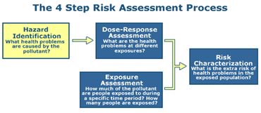 An illustration of the four steps in the risk assessment process: hazard identification, dose-response assessment, exposure assessment, and risk characterization.