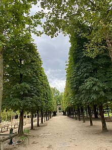 Tuileries Bahçesi