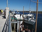 Der Hafen von Doolin