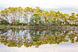 September: Im Nationalpark Divjaka-Karavasta