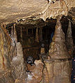 Stalagmites in the Bing Cave