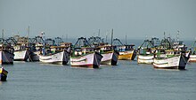 Set of boats anchored in the shores.