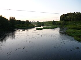 Wiks va Vazuza kuksa