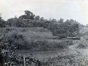 Camouflage d'un missile sol-air S-75 Dvina (Code OTAN : SA-2 Guideline) au Nord-Vietnam en 1968.