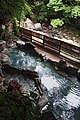 峡谷展望の露天風呂 （摂津峡温泉）