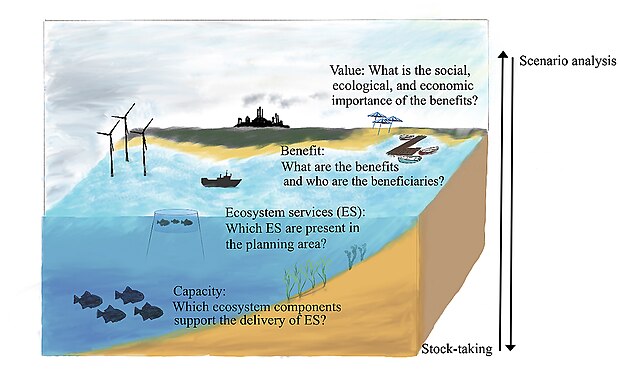 The ecosystem cascade to structure the stock-taking and scenario analysis steps in the marine spatial planning process.[135]