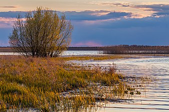 Natoerreservaat Polistovsk