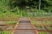 Level Crossing