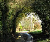 En naturlig buegang ved Wheelers Lane