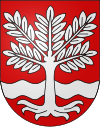 Wappen von Oeschenbach