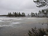 A marsh lake in Puolanka