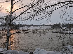 The Rachel Carson Greenway in February 2006