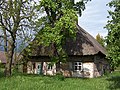 Unsaniertes Bauern- haus in Wiendorf