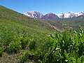 Landscape of mountain regions of Shahrisabz district, Kashkadarya region