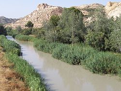 The Segura river passing through Archena.