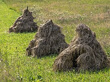 Trois tas de foin dans un pré.