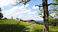 Stadlbergalm und Gunetsrainkapelle, 890 m NHN