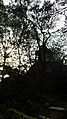 An evening view of the Watch Tower inside Bugle Rock park