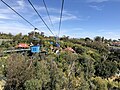 Die Skyfari Aerial Tram über den Zoo