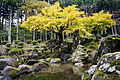 Suwa Yakata-ato Garden