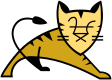 Логотип программы Apache Tomcat