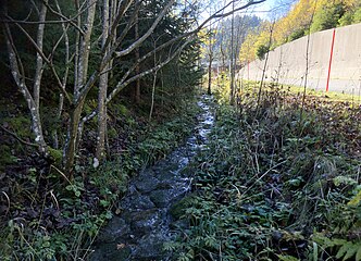 Quellbach der Schüss in der Schlucht von Les Convers, Kanton Neuenburg