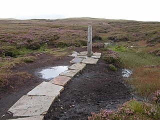 Tarddle Afon Hafren ar lethrau Pumlumon