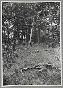 Picture of "Confederate dead on Matthews Hill, Bull Run", Brady Handy Collection[31][32]