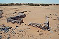 Blick von Südosten über das Bad zur Umfas­sungs­mauer. Im Hinter­grund die Oase Bu Njem