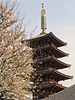 浅草寺 五重塔 Sensoji gojunoto