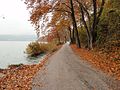 Road close to the lake