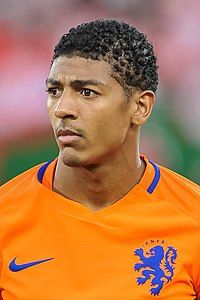 Patrick van Aanholt