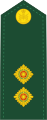 Lieutenant French: Lieutenant (Canadian Army)[21]