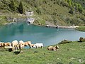 Barrage de Castillon (La Mongie)