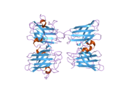 2gbt: C6A/C111A CuZn Superoxide dismutase