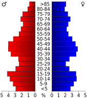 Bevolkingspiramide Beadle County