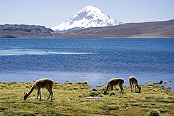 Lago Chungara nel parco nazionale Lauca