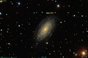 Image illustrative de l’article NGC 1171