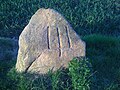 Grenzstein (Nr. S-20) nahe Leversen, Rosengarten (ca. 14. Jh.), zugleich Naturdenkmal ND WL 00020