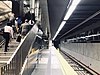 The platform at Martin Luther King Jr. station