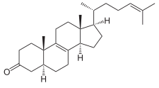 Zymosteron