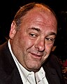 Tony Soprano (James Gandolfini)