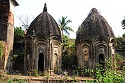 Chala temples in the ruined Rang Mahal complex