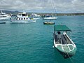 Puerto Ayora - Taxi Acqueo