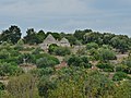 Trullo e terrazzamenti nelle campagne di Ceglie Messapica